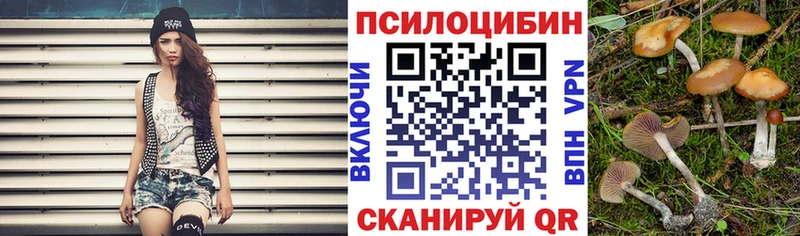 Псилоцибиновые грибы мухоморы  купить закладку  Люберцы 